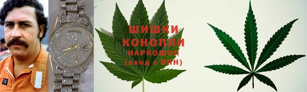индика Санкт-Петербург