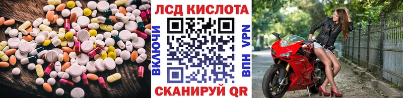 дарнет шоп  Элиста  ЛСД экстази кислота 